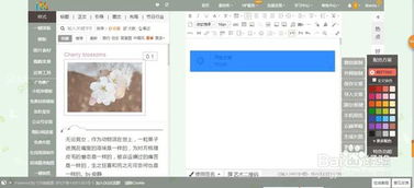 135微信編輯器官方版下載 | v2.0免費(fèi)電腦版安裝與體驗(yàn)指南